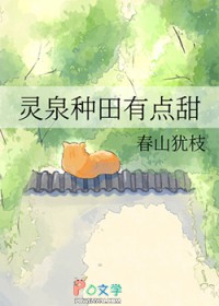 ��Ȫ�����е���