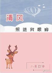 清风照进我眼眸