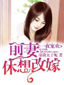 一夜宠欢:前妻,休想改嫁
