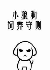 小狼狗饲养守则